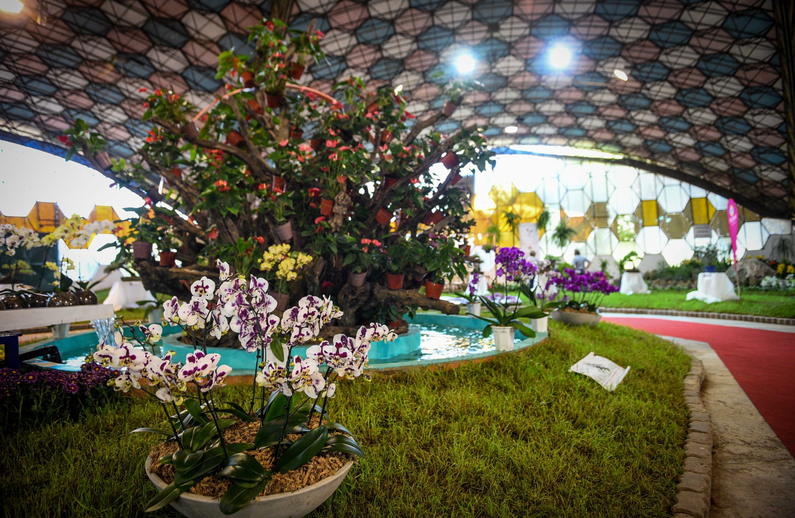 ESCOBAR: harán un jardín de flores con materiales reciclados